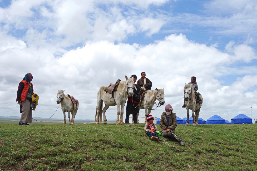 REPORT: An Iron Fist in a Green Glove - Australia Tibet Council